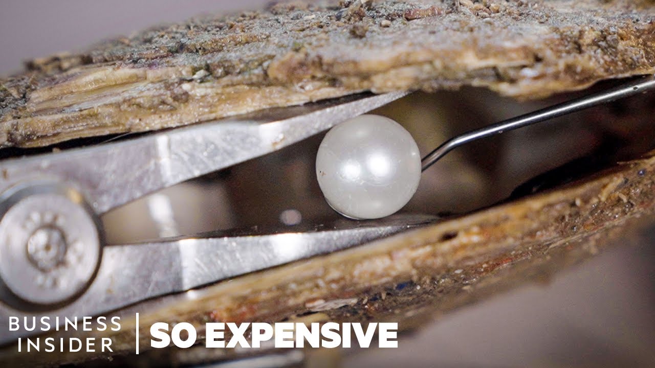 Why South Sea Pearls Are So Expensive | So Expensive | Business Insider