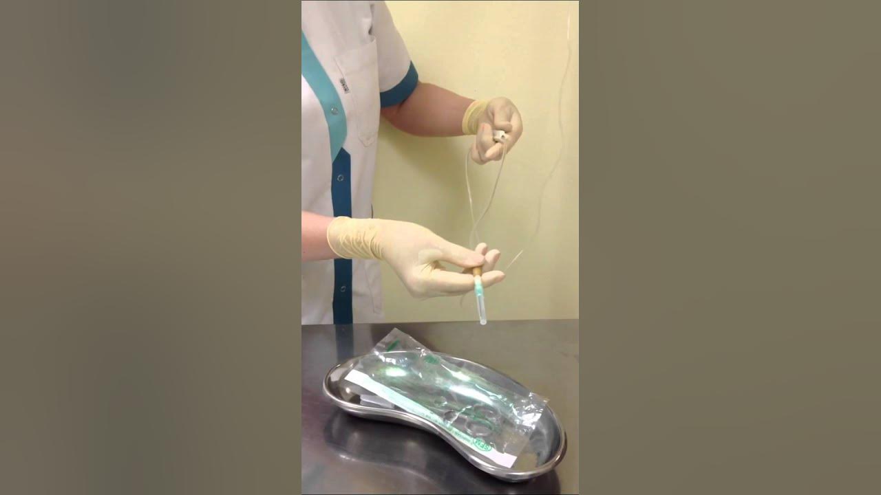 Яна оммавий заҳарланиш! Навбат Навоийга етди