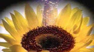 At-Takwir----Sheik Abdul Rahman