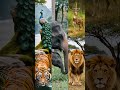 ছোট্ট এক টুকরো কাগজে কি পুরো পৃথিবী ধরা যায়? 🌍📜