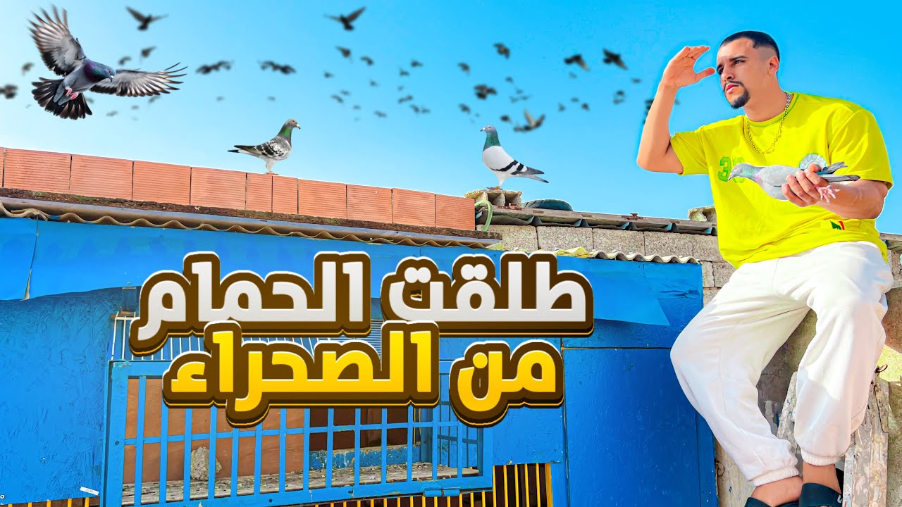 هزيت الحمام 600Km متخيلوش اشنو  🔥😱 وقع تفرجو حتى اللخر 🕊️🤯