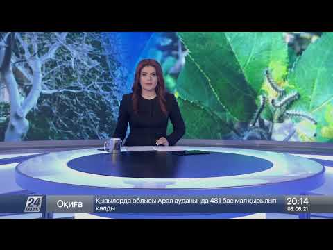 Нашествие гусениц наблюдается в Актюбинской области