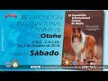 35 Exp. Internacional Canina de OTOÑO - Sábado 1ªPARTE