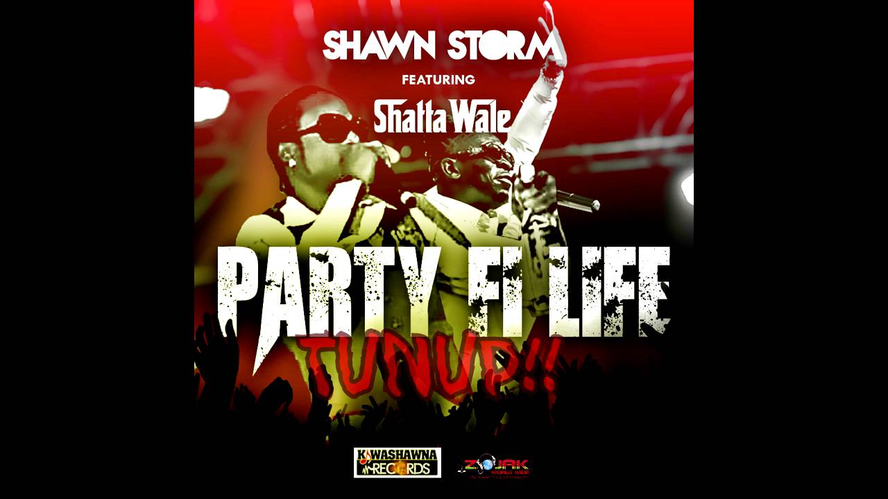 Shawn Storm - Party Fi Life (feat. Shatta Wale) shatta wale melissa