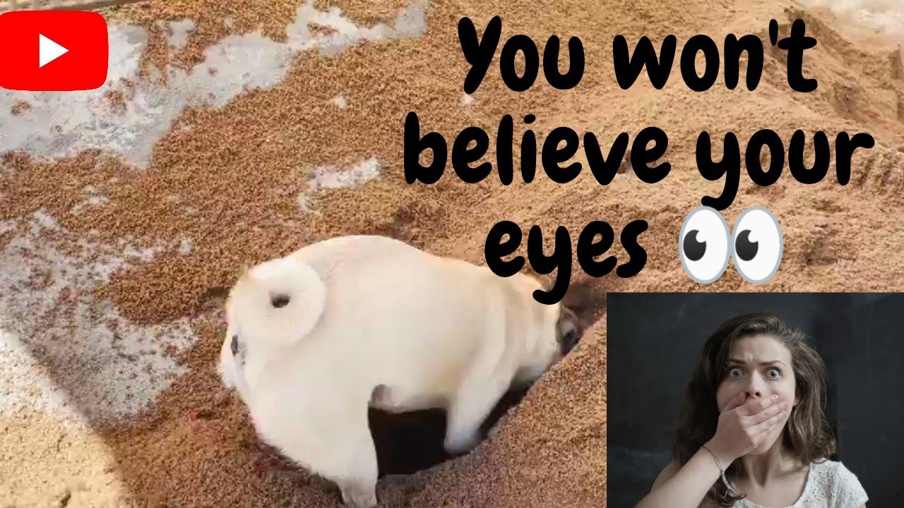 y'all won't believe your eyes 😳 YouTube