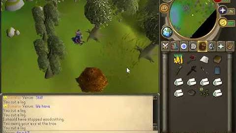 New Pro Skilling server! Looking for staff - no staff hunters