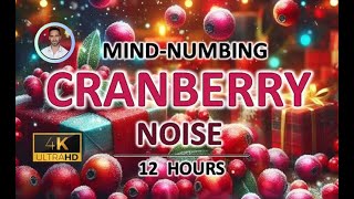 Mind-numbing Cranberry Noise (12 Hours) BLACK SCREEN - Study, Sleep, Tinnitus Relief and Focus