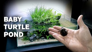 Aquascape Tutorial: BABY TURTLE Mini Pond (How To: Full Step By Step Guide, Planted Aquarium)
