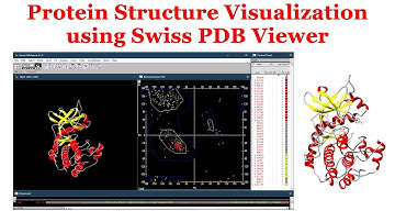 Protein Structure Visualization using Swiss PDB Viewer #bioinformatics #protein #visualization #pdb
