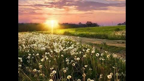 سورة الاخلاص مكررة بصوت وديع اليمني ....