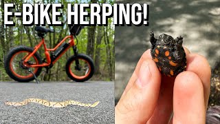 I Spent 10 Hours Looking for Snakes on an Electric Bicycle!