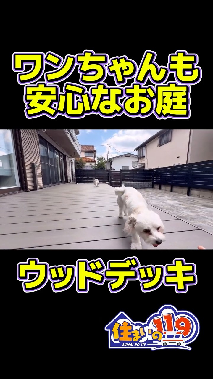 A garden that's safe for your dog! @Sumai no 119 #CustomHomes