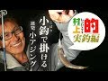 【村上的 実釣編】 小鈎で小アジをノセる！連発おかっぱりアジング【NEWレベリングロッド登場】