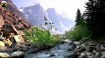 #سورة_يوسف من #صلاة_تراويح 2021        #الشيخ_محمد_البلاكوسي