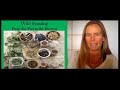 Wild Wisdom: Essential Food and Medicine of the Land with Katrina Blair