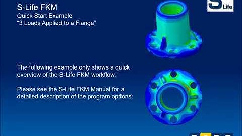 S-Life FKM Example Flange
