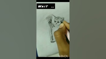 Transition alert⚠️👀|| #shorts#viral#trending#youtubeshorts#drawing#sketch#artist#transition