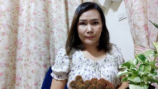 ถาม-ตอบสด EP.24 ปัญหาการเลี้ยงแคคตัส การเลี้ยงแคคตัส มือใหม่ สอบถามได้ทุกปัญหาที่คลิปนี้ค่ะ