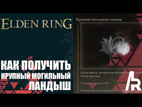 ELDEN RING: КАК ПОЛУЧИТЬ КРУПНЫЙ МОГИЛЬНЫЙ ЛАНДЫШ. ПРОКАЧКА ПРАХОВ ДО +10.