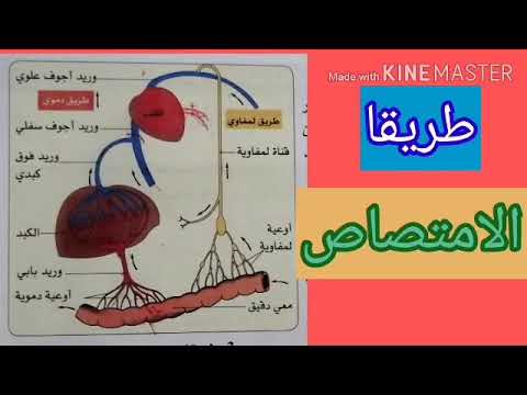 طريقا الامتصاص السنة الرابعة متوسط قناة جنة العلوم