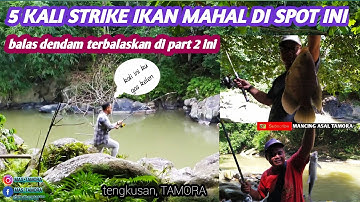 BUKAN MAIN....!!!! || akhir nya ikan jurung dan gurami super berhasil kami taklukan  di sungai ini