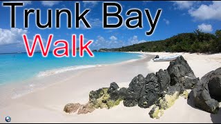 Trunk Bay Beach U.S.V.I St John walk