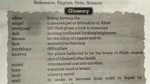 Class 6th Exercise Solution Lesson 13 - Part 5 of 5 - A Happy Prince - Online Punjab Text Book Board