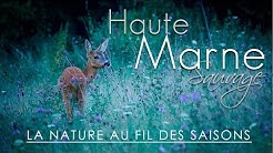 Haute-Marne Sauvage - Au fil des saisons