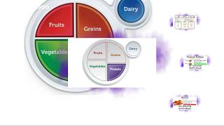 MyPlate - Proteins