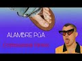 Bad Bunny - ALAMBRE PúA (Twindrops Remix) 