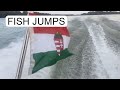 Boat and fish jumps