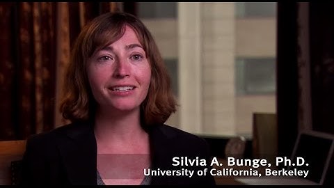 Learning Through Play: Developing Children’s Executive Function Skills