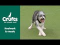 Freestyle International Heelwork to Music Competition - Part 1 | Crufts 2022