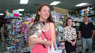 Kittens! by Save Our Cats and Kittens Shelter 8 views 5 years ago 31 seconds