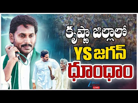 LIVE: YS Jagan Visits Cyclone Montha Affected Areas |కృష్ణా జిల్లాలో YS జగన్ ధూంధాం |ZEE Telugu News - ZEE24TELUGUNEWS