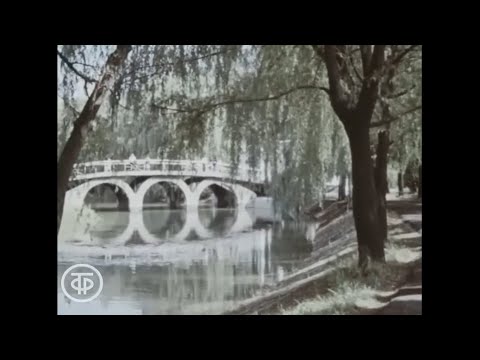 Город Шахты в 1979 году Ростовская область - Города Советского Союза документальный фильм СССР