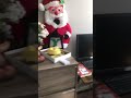 Find the egg