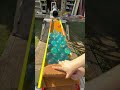 Marble Run Guppy and the Genius Newcomer Performer①
