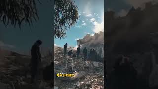 Gel Üzülme Deli Gönül Resimi