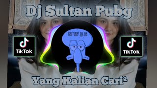 Dj Sultan Pubg x Miracles | Viral Tik Tok 2021 | NW25