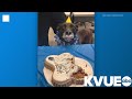 Hays County K9 officer 'Buddy' retires at 9 years old
