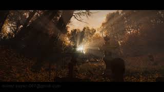 Unreal Engine 5.0 Lighting / Misty Forest