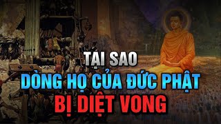 Vì sao DÒNG TỘC THÍCH CA MÂU NI BỊ DIỆT VONG  Đức Phật cũng không thể cứu được?