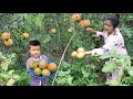 Sreypov Life Show: Pick pomegranate from back yard to eat / Family food cooking