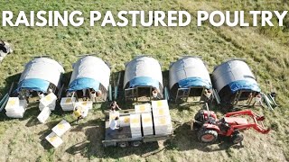 Raising Pastured Poultry - A DAY IN THE LIFE by Diego Footer 10,057 views 2 years ago 19 minutes