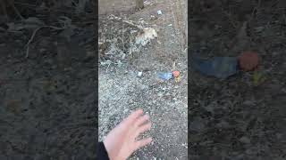 ПОЗОР мусор в городе КОХМА! ОБРАТИТЕ ВНИМАНИЯ