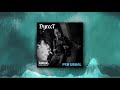 Dyrect - Per Usual Visualizer