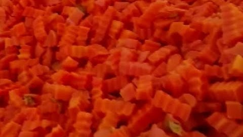 Spray: sorting machine for Crinkle Carrot Sticks | RAYTEC VISION SpA