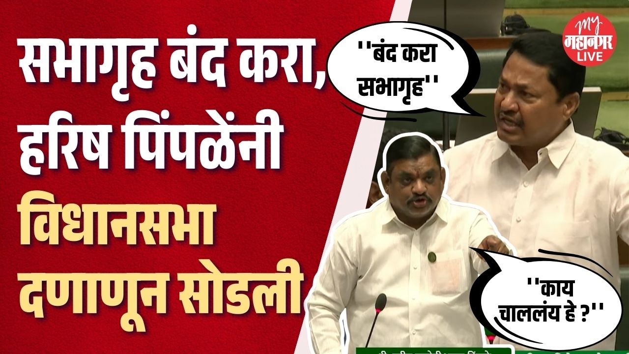 भाजप आमदारांचा पारा चढला, नाना पटोलेही उठले; मंत्री गायब, देसाई म्हणाले मी उत्तर देतो | Vidhan Sabha