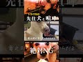 「虐待された犬」生まれて初めて優しくされた家で先住犬と喧嘩#shorts
